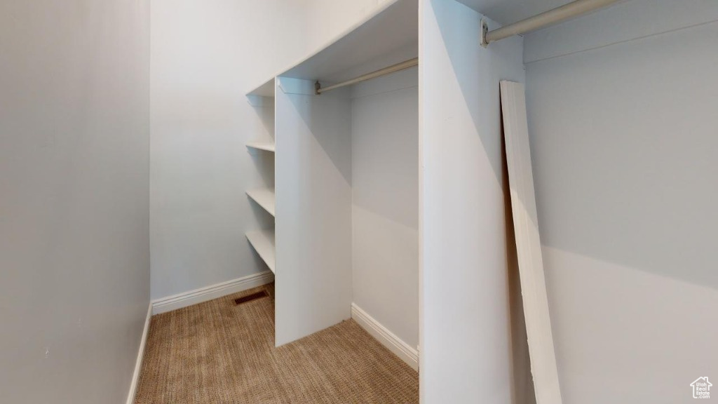 Large and spacious closet with built-ins