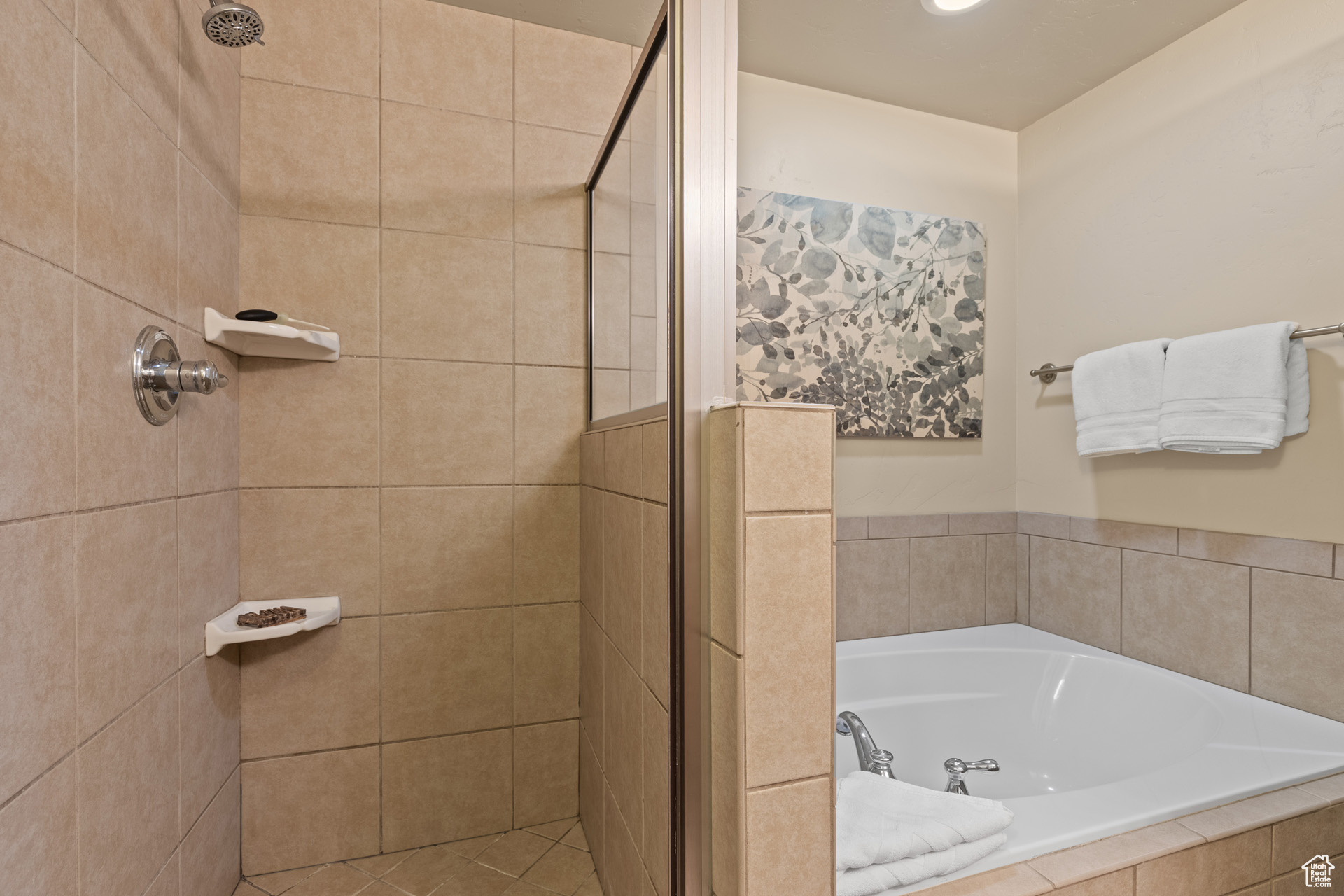 Bathroom with shower with separate bathtub