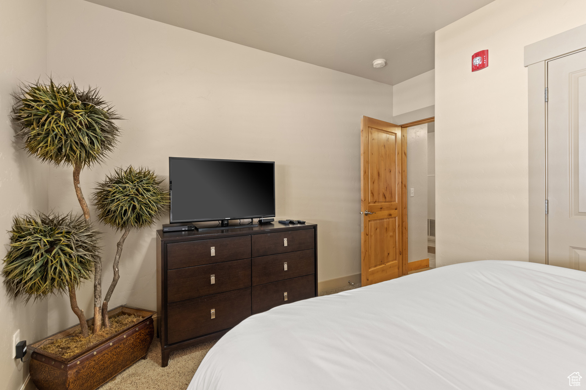 Bedroom featuring light colored carpet