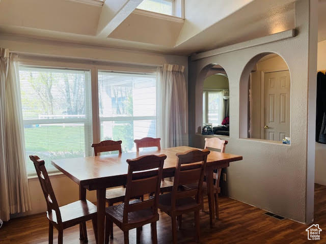 Dining room featuring plenty of natural light and dark wood-type flooring