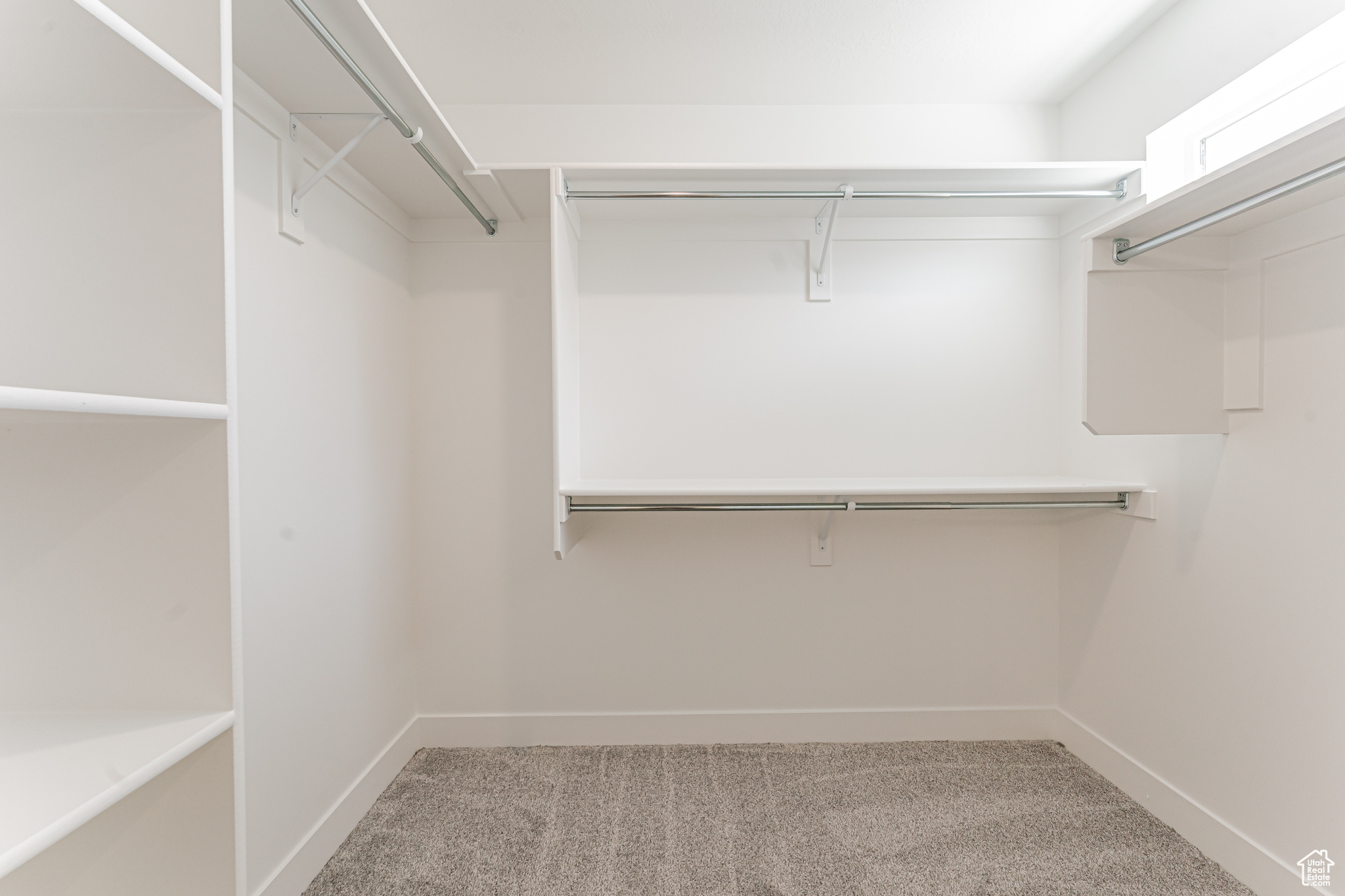 Walk in closet featuring carpet