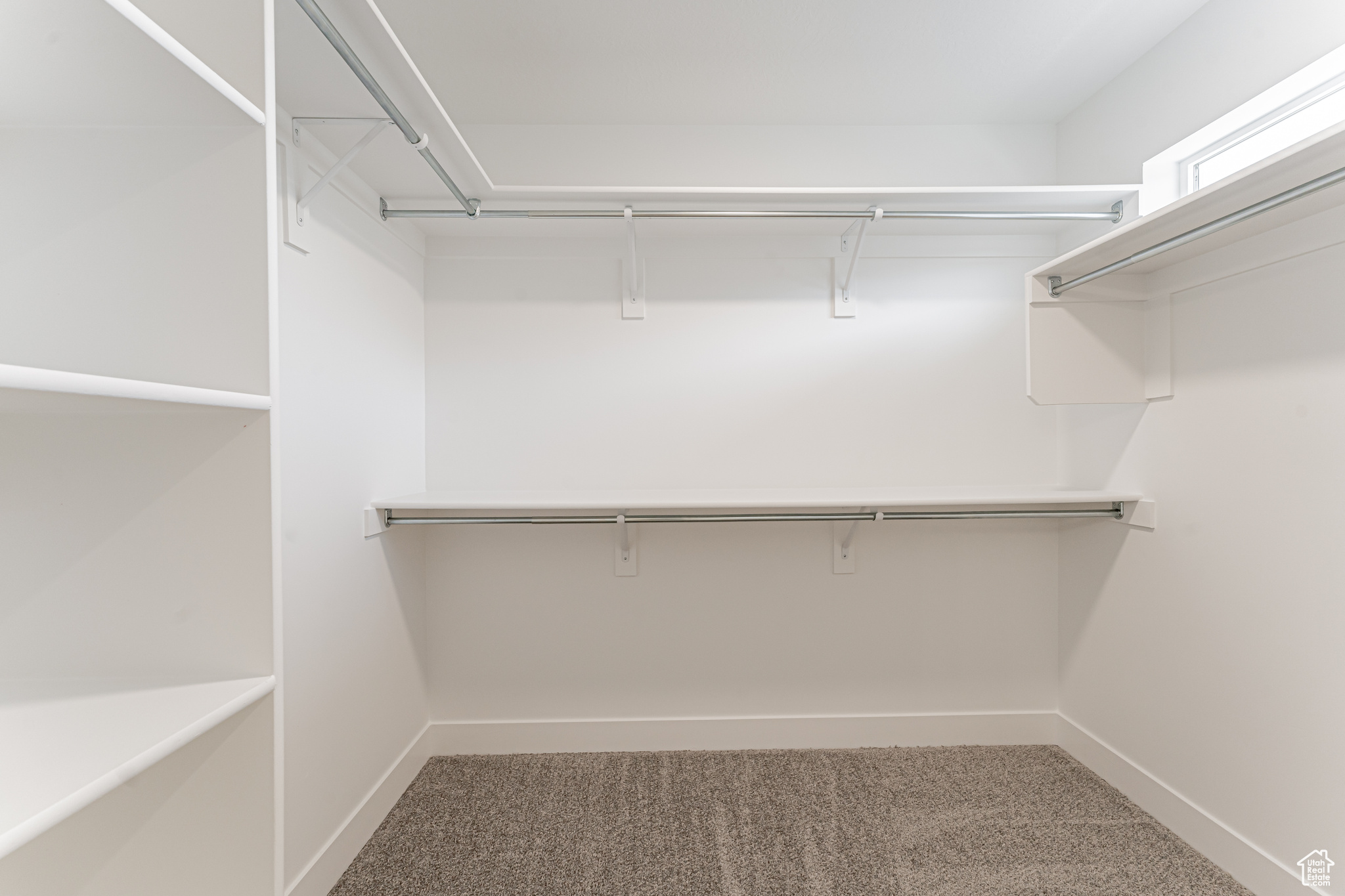 Spacious closet featuring carpet flooring