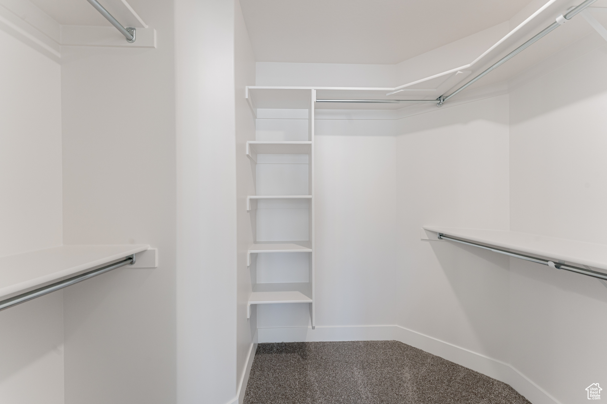 Walk in closet featuring carpet flooring