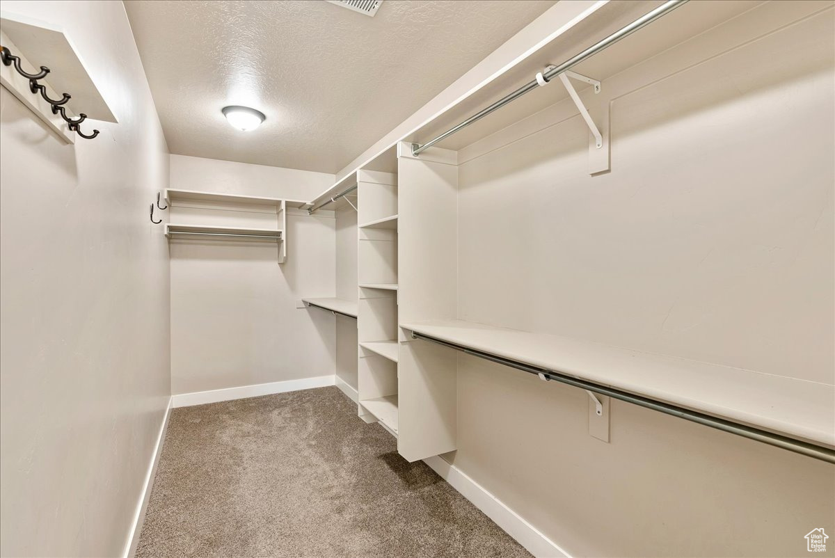 Walk in closet featuring carpet flooring