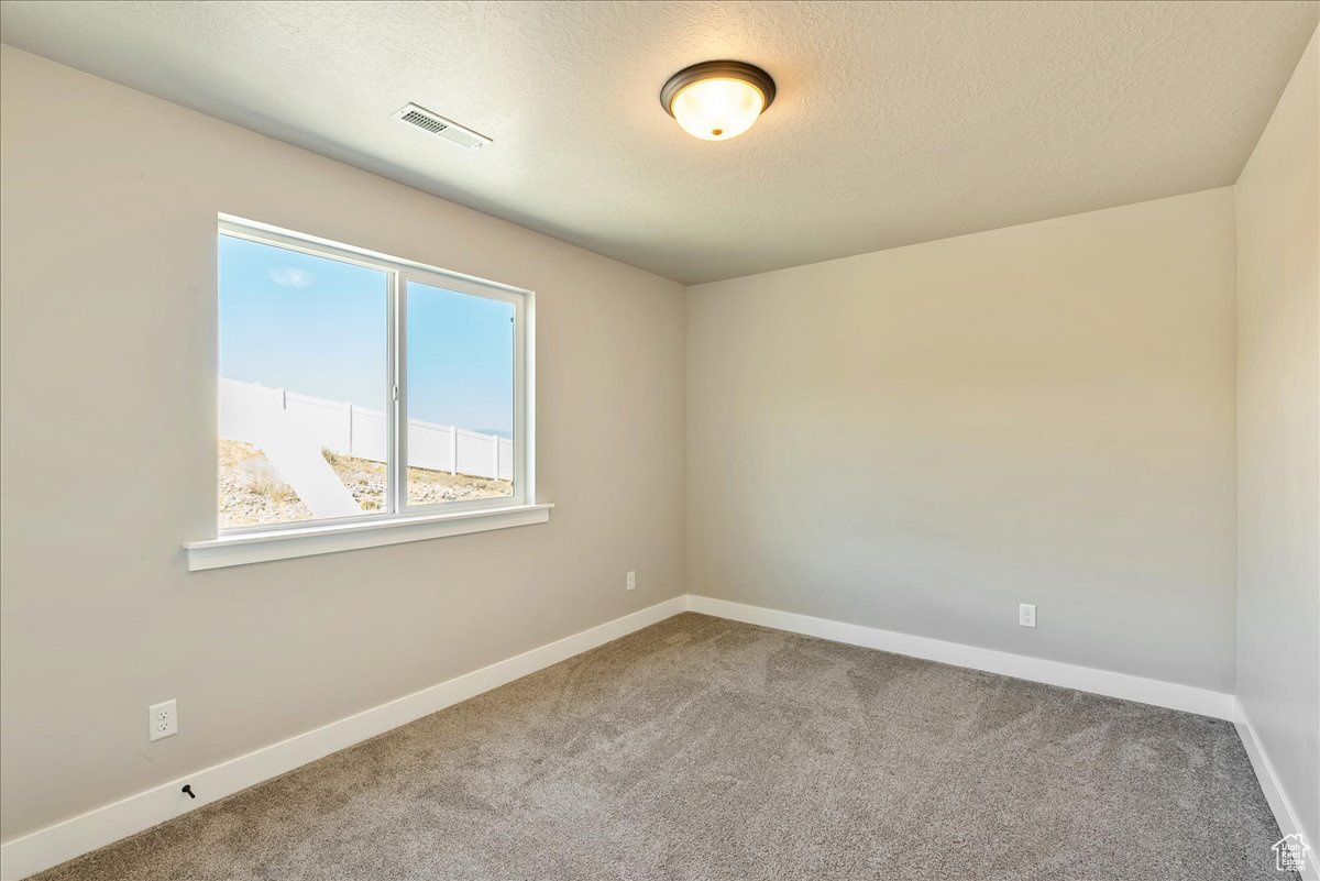 Carpeted spare room with a textured ceiling