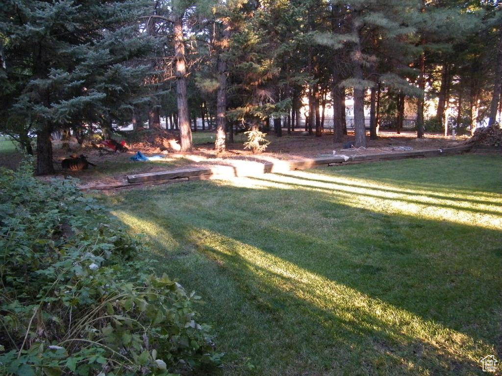 Front yard area