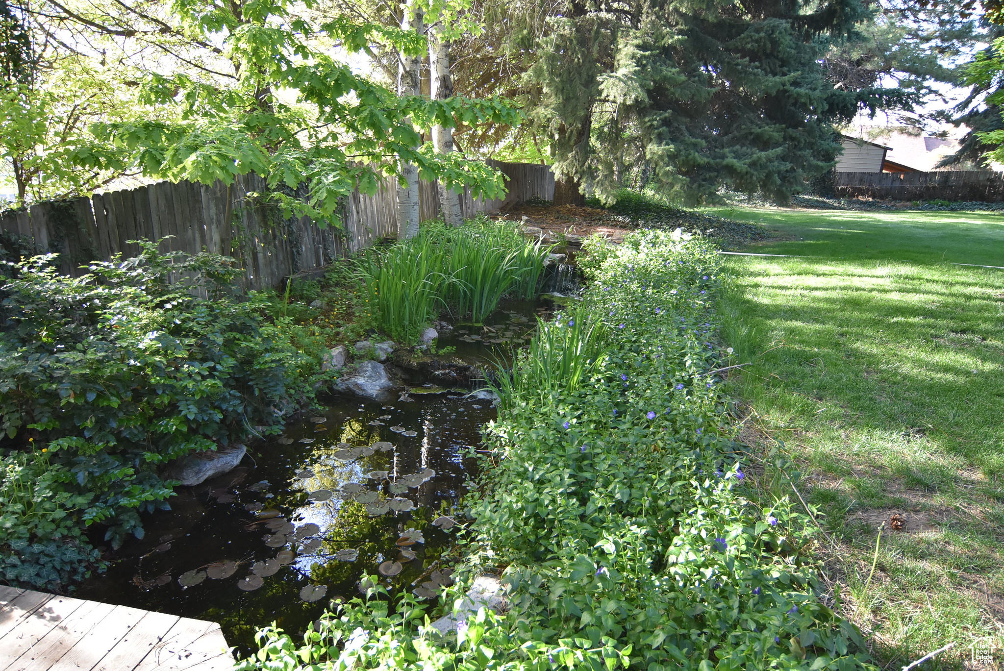 Water feature back yard