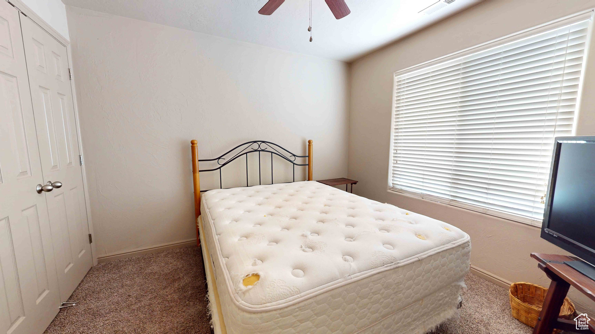 Carpeted bedroom featuring multiple windows, a closet, and ceiling fan