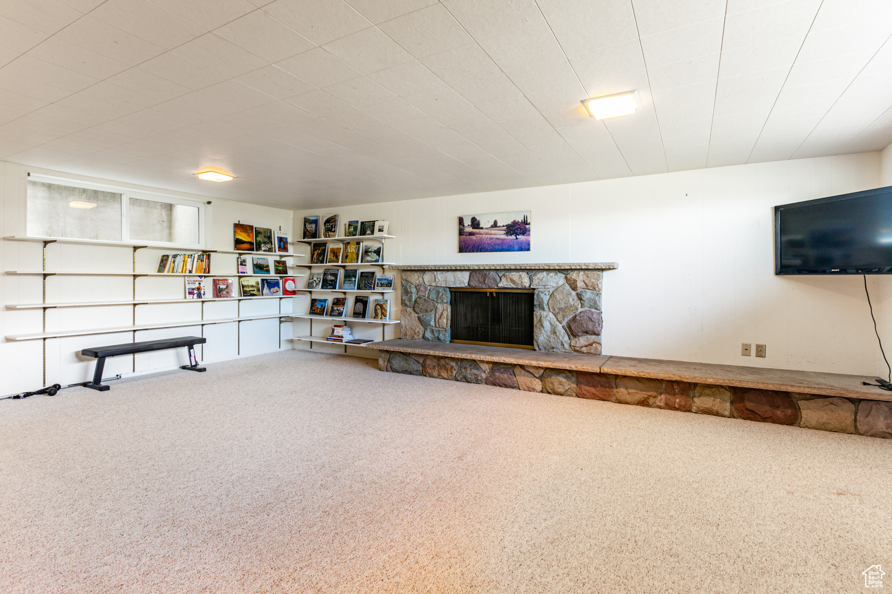 Large basement family room with fireplace and shelving