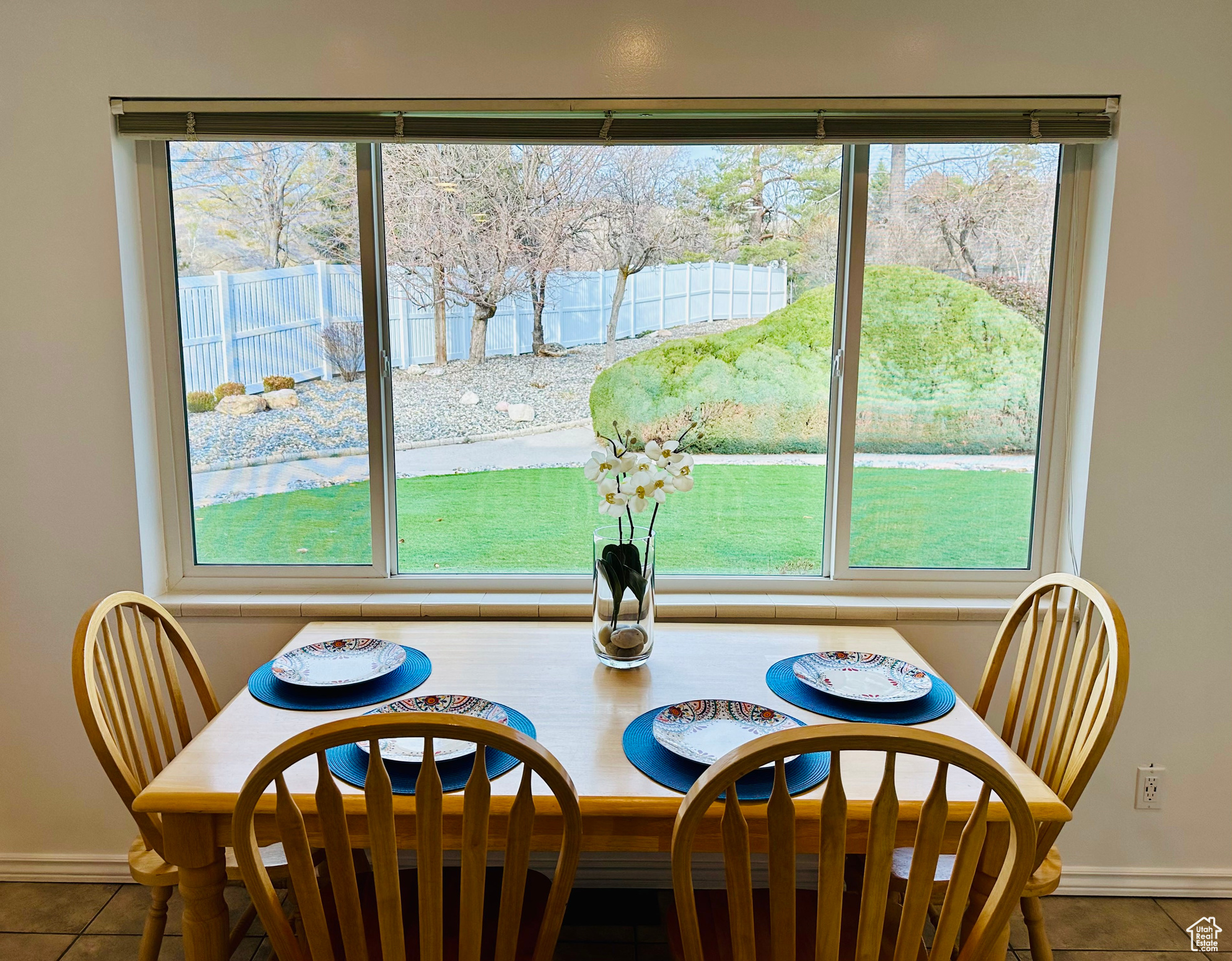 View from kitchen to backyard