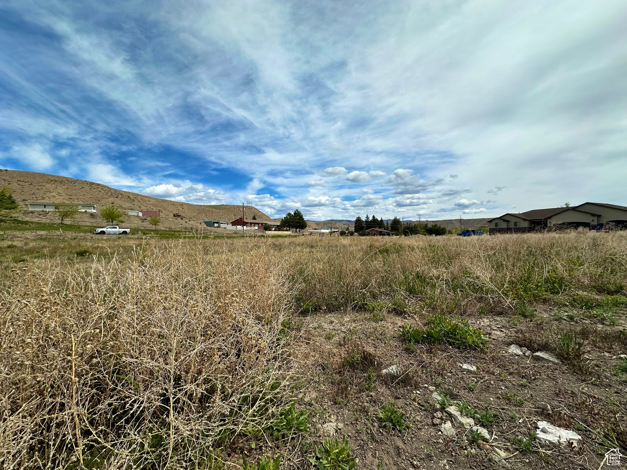 View of local wilderness with a rural view