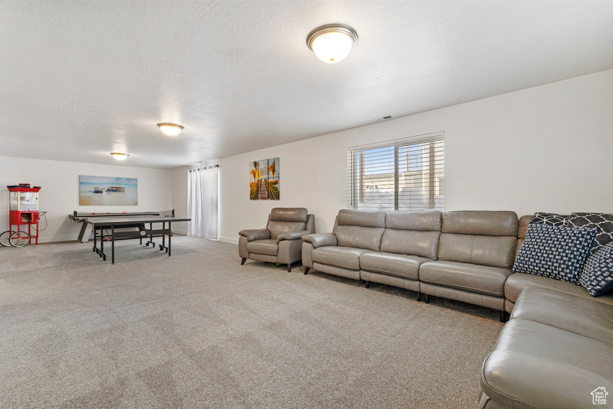 Living room featuring a textured ceiling and carpet flooring