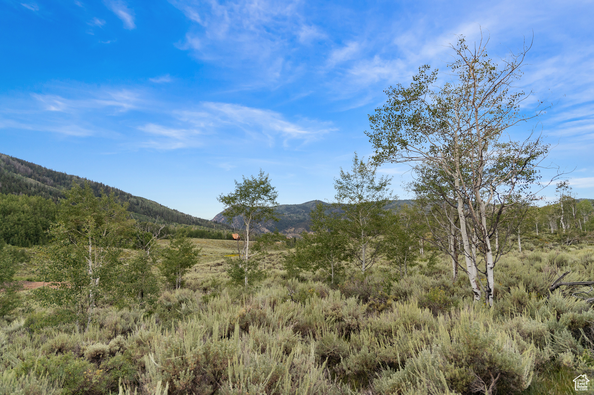 643 CONIFER #643, Oakley, Utah 84055, ,Land,For sale,CONIFER,1999054