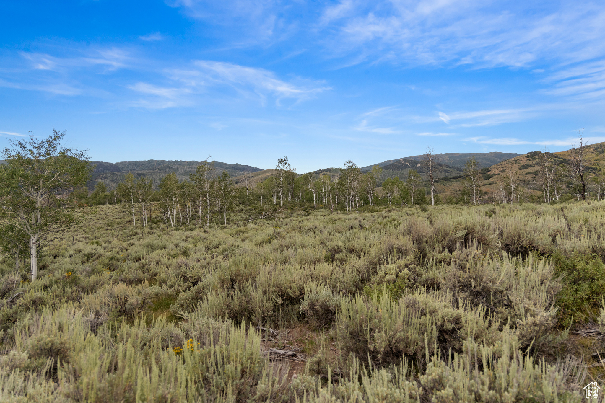 643 CONIFER #643, Oakley, Utah 84055, ,Land,For sale,CONIFER,1999054