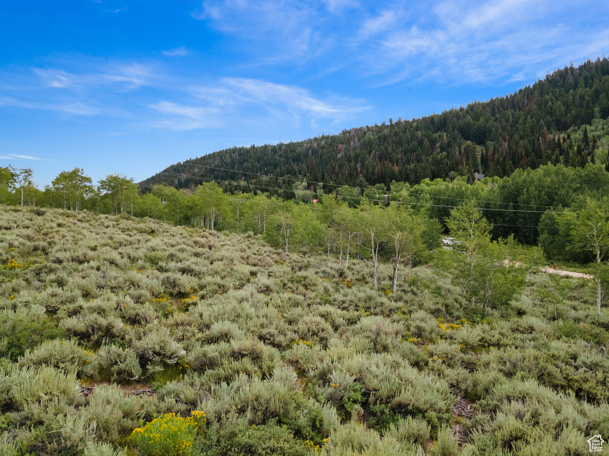 643 CONIFER #643, Oakley, Utah 84055, ,Land,For sale,CONIFER,1999054