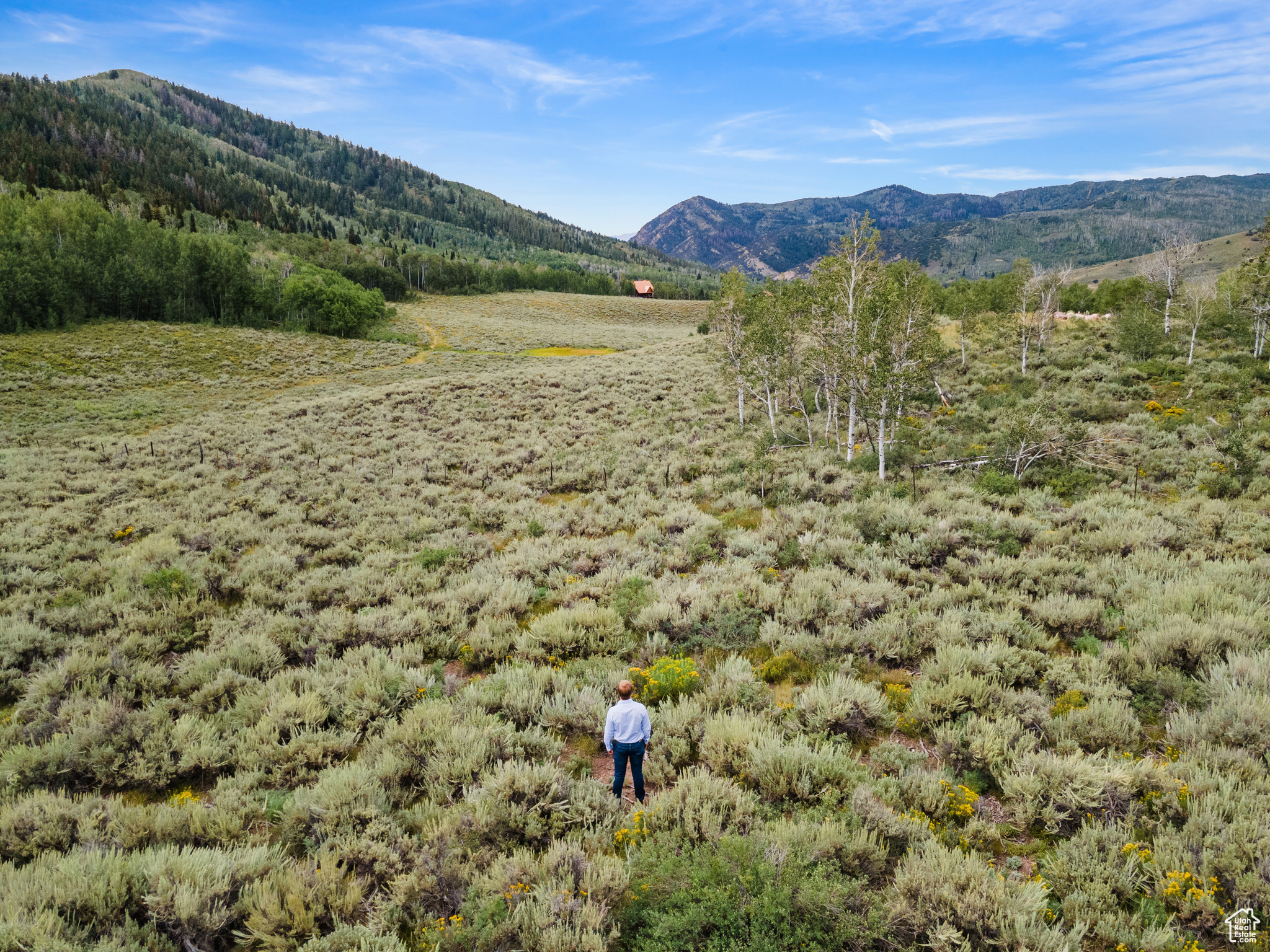 643 CONIFER #643, Oakley, Utah 84055, ,Land,For sale,CONIFER,1999054