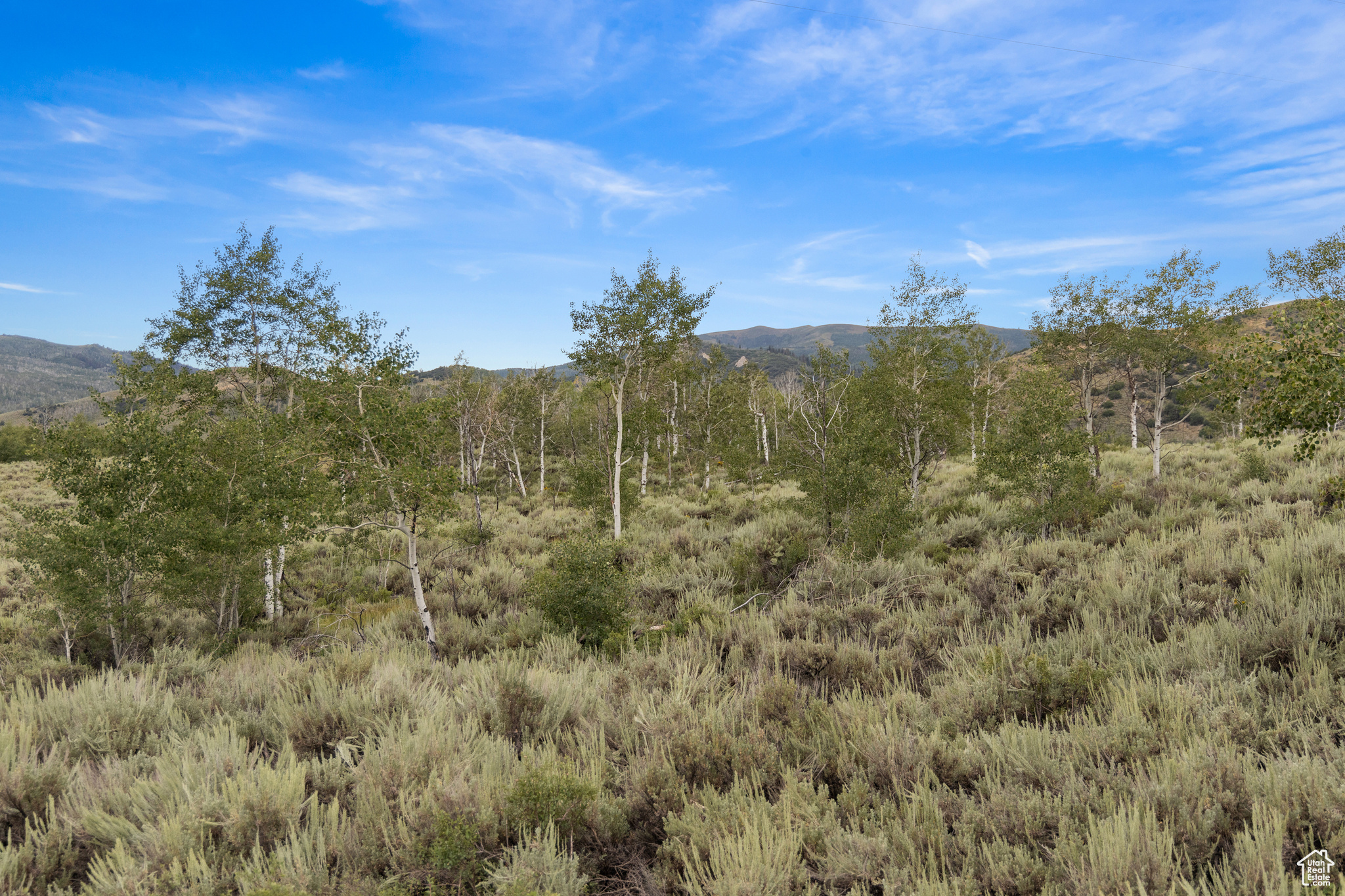 643 CONIFER #643, Oakley, Utah 84055, ,Land,For sale,CONIFER,1999054