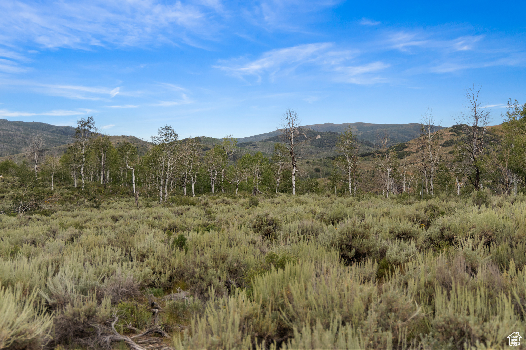 643 CONIFER #643, Oakley, Utah 84055, ,Land,For sale,CONIFER,1999054