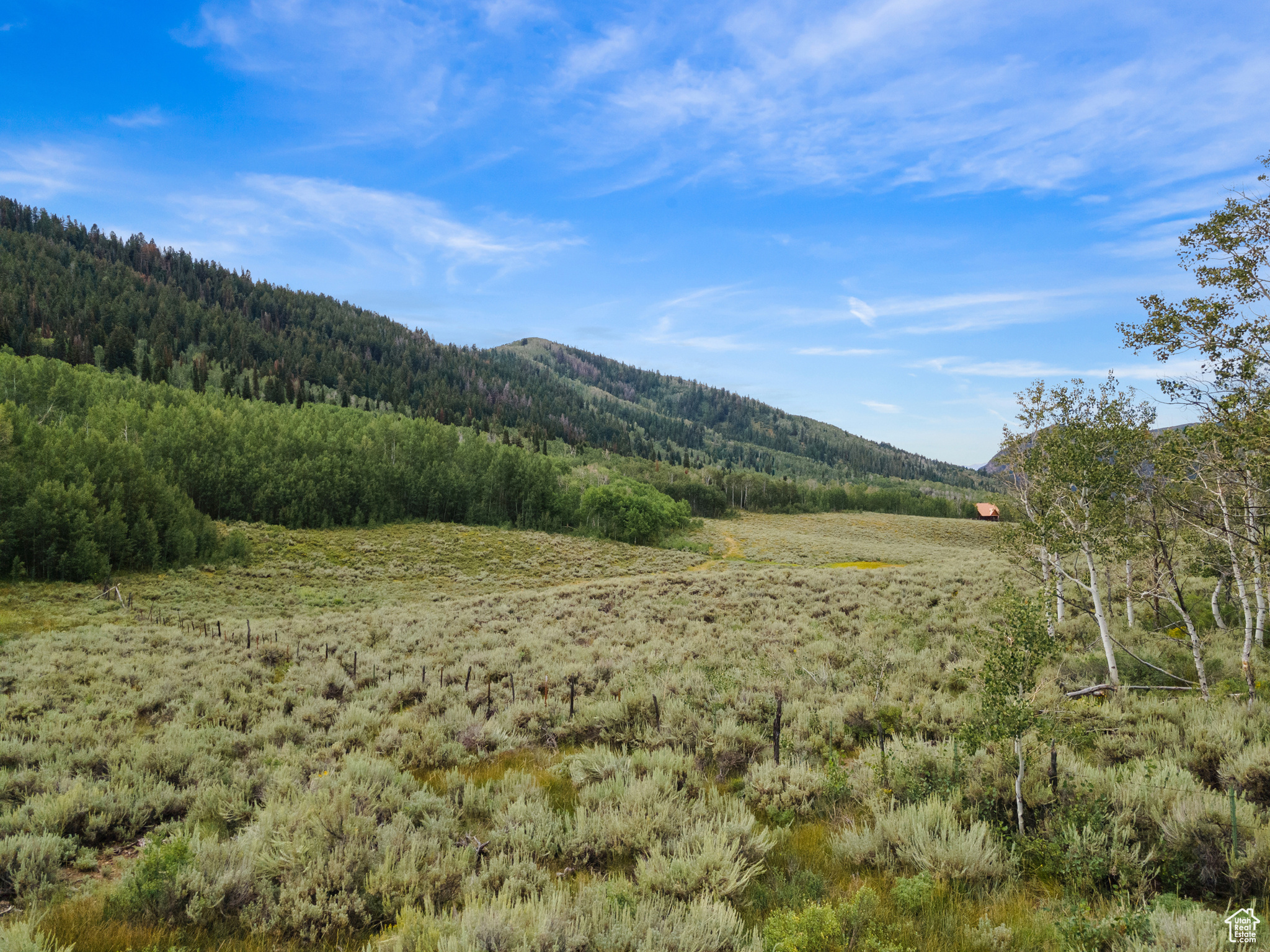 643 CONIFER #643, Oakley, Utah 84055, ,Land,For sale,CONIFER,1999054