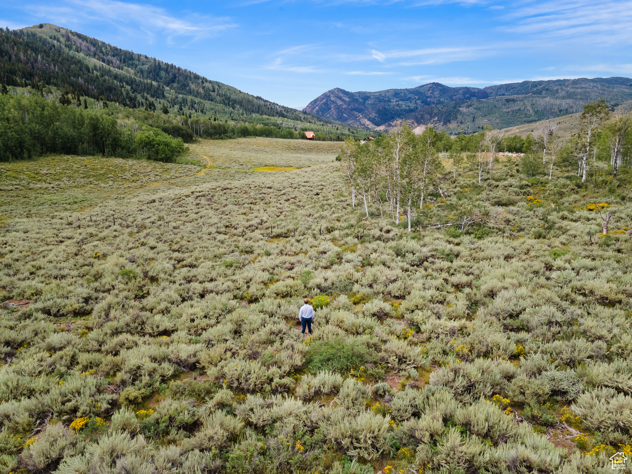 643 CONIFER #643, Oakley, Utah 84055, ,Land,For sale,CONIFER,1999054