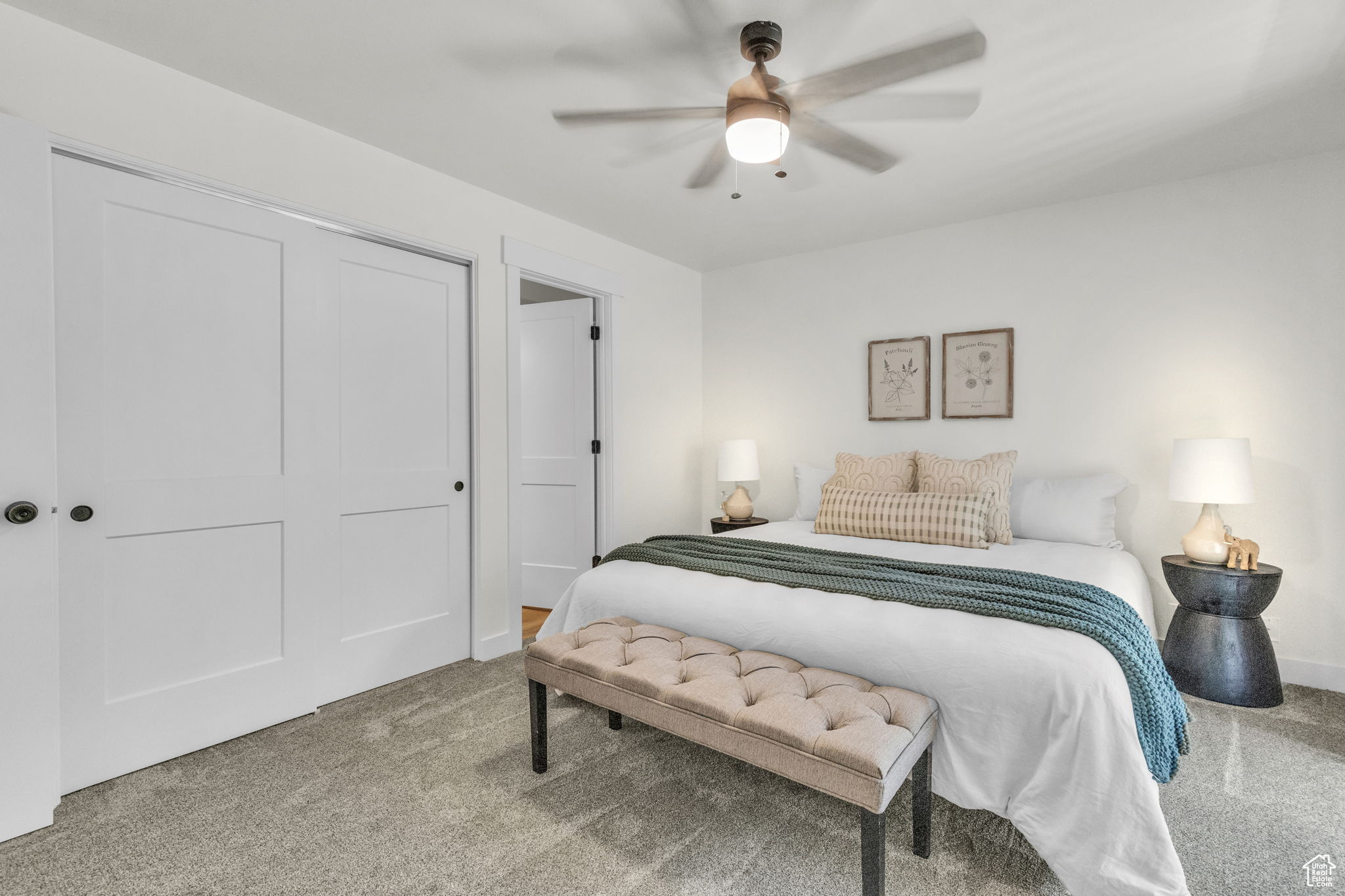 Bedroom featuring carpet, ceiling fan, and a closet