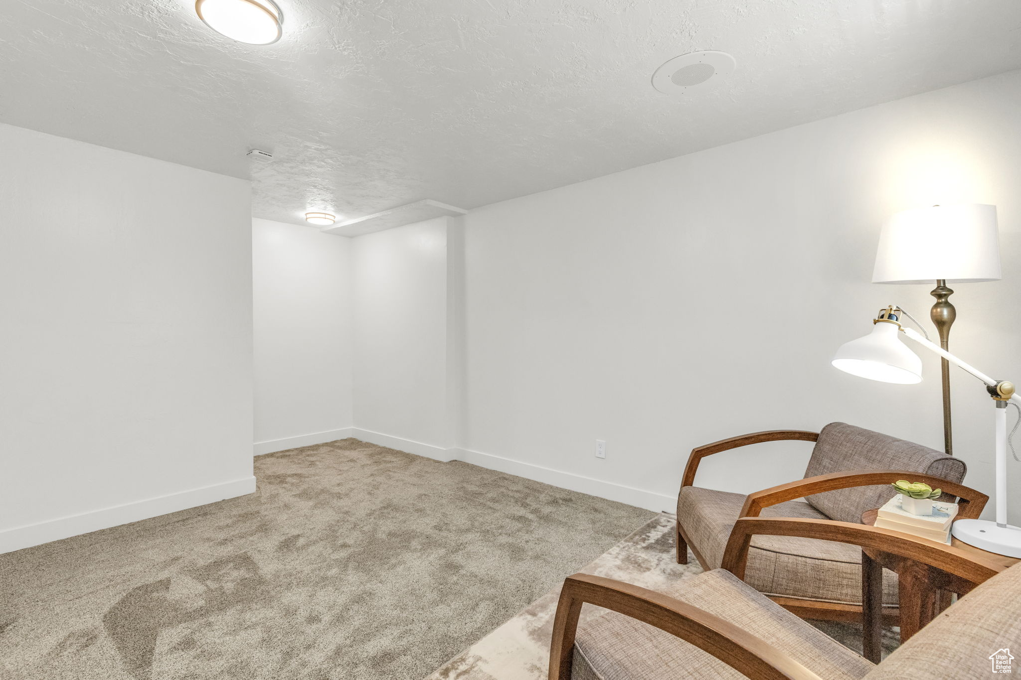 Living area with carpet flooring