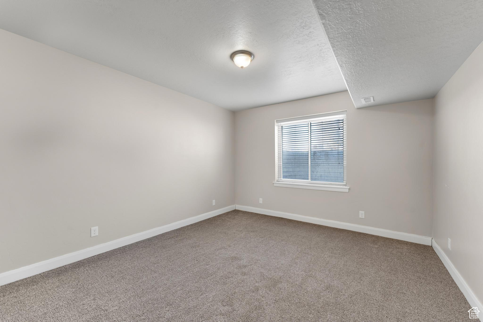 Large basement bedroom (2 of 2 bedrooms in basement)