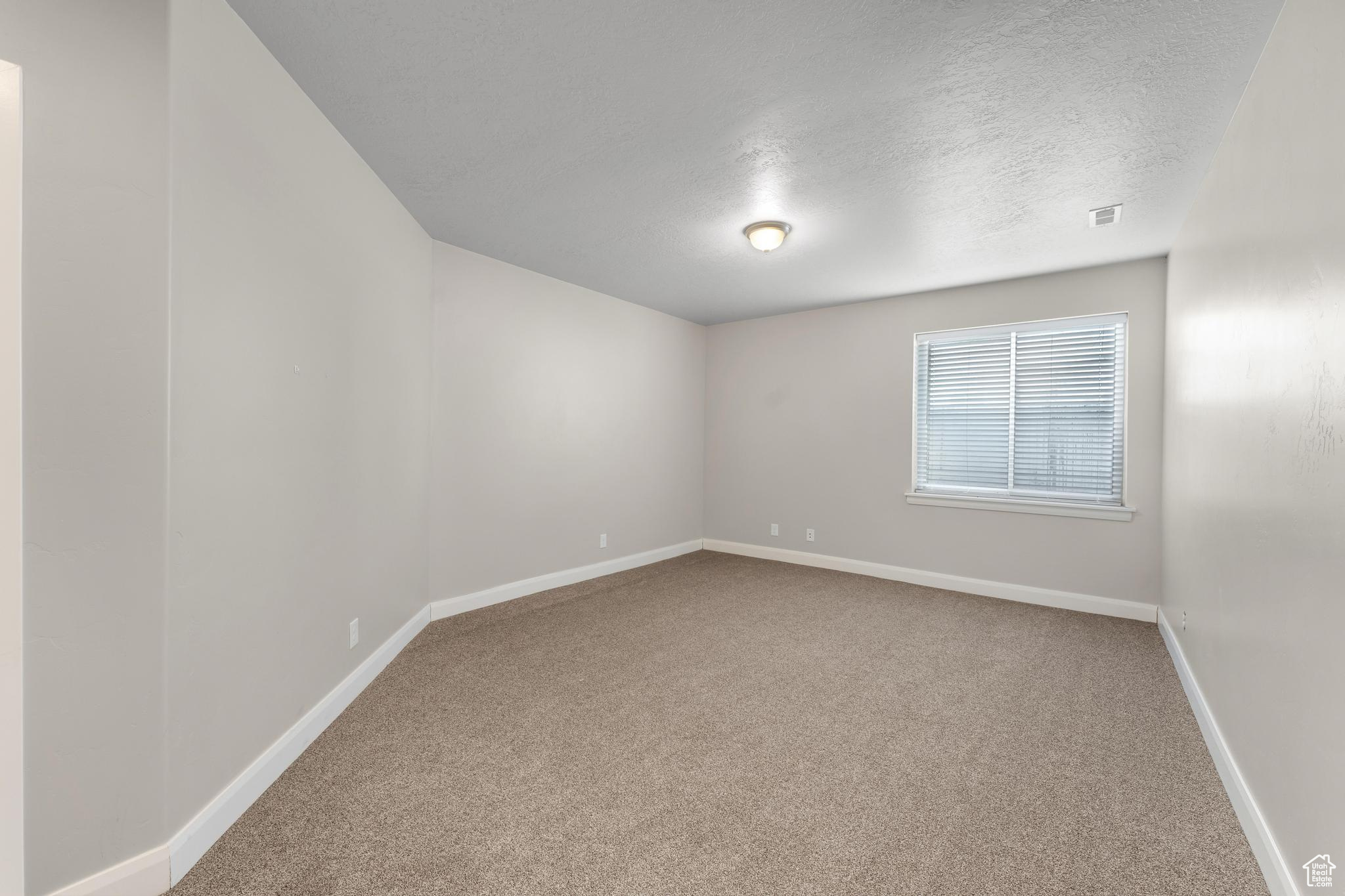 Second view of bedroom in the basement (2 of  2 bedrooms in the basement).