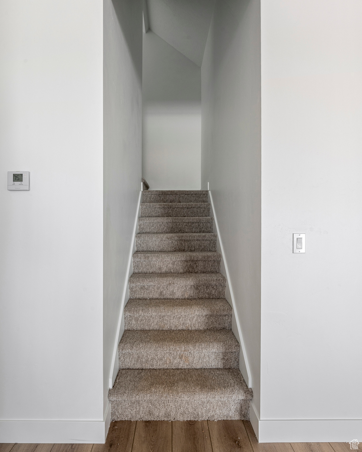 Stairs with wood-type flooring