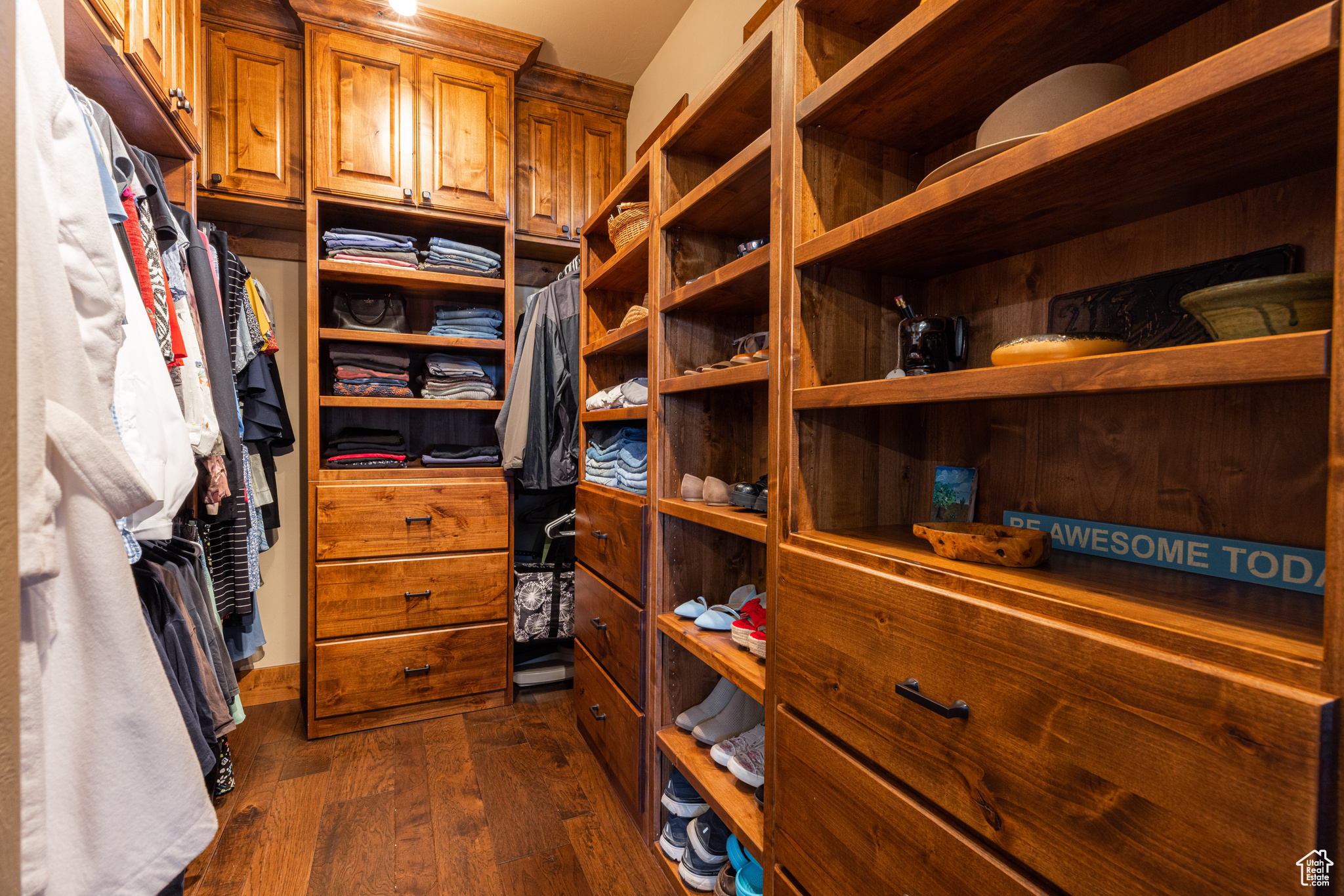 2nd view Princpile suite Spacious closet featuring dark hardwood / wood-style floors