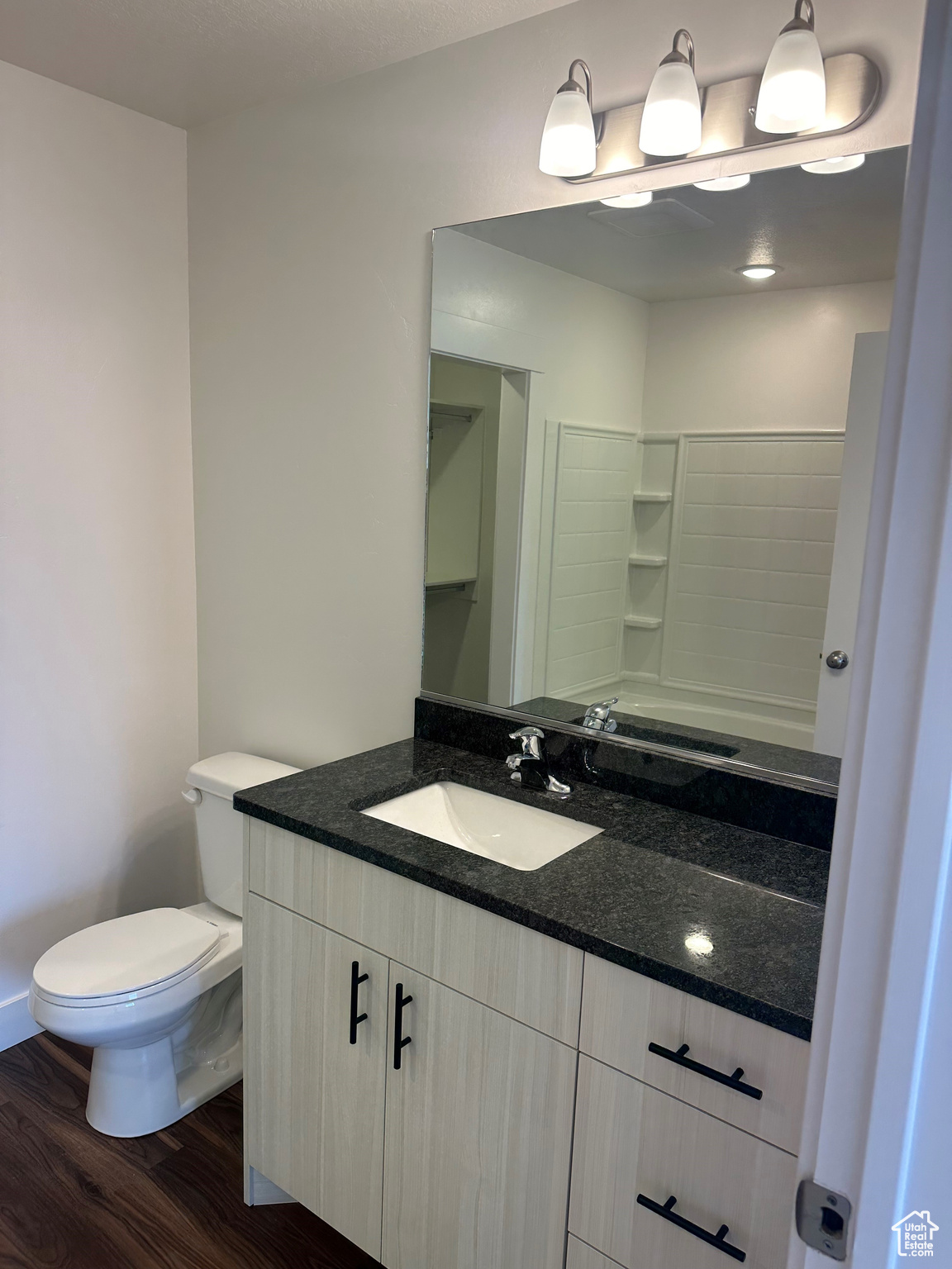 Bathroom featuring vanity, wood-type flooring, and toilet