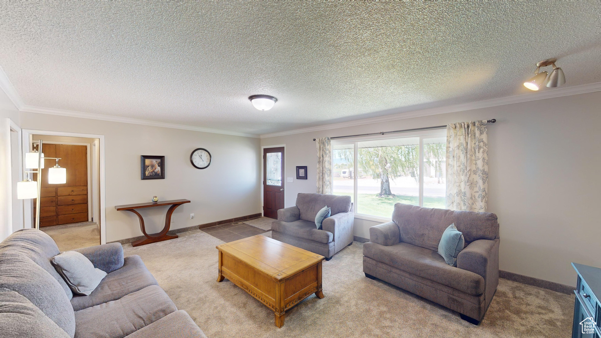 Carpeted living room with crown molding and a textured ceiling