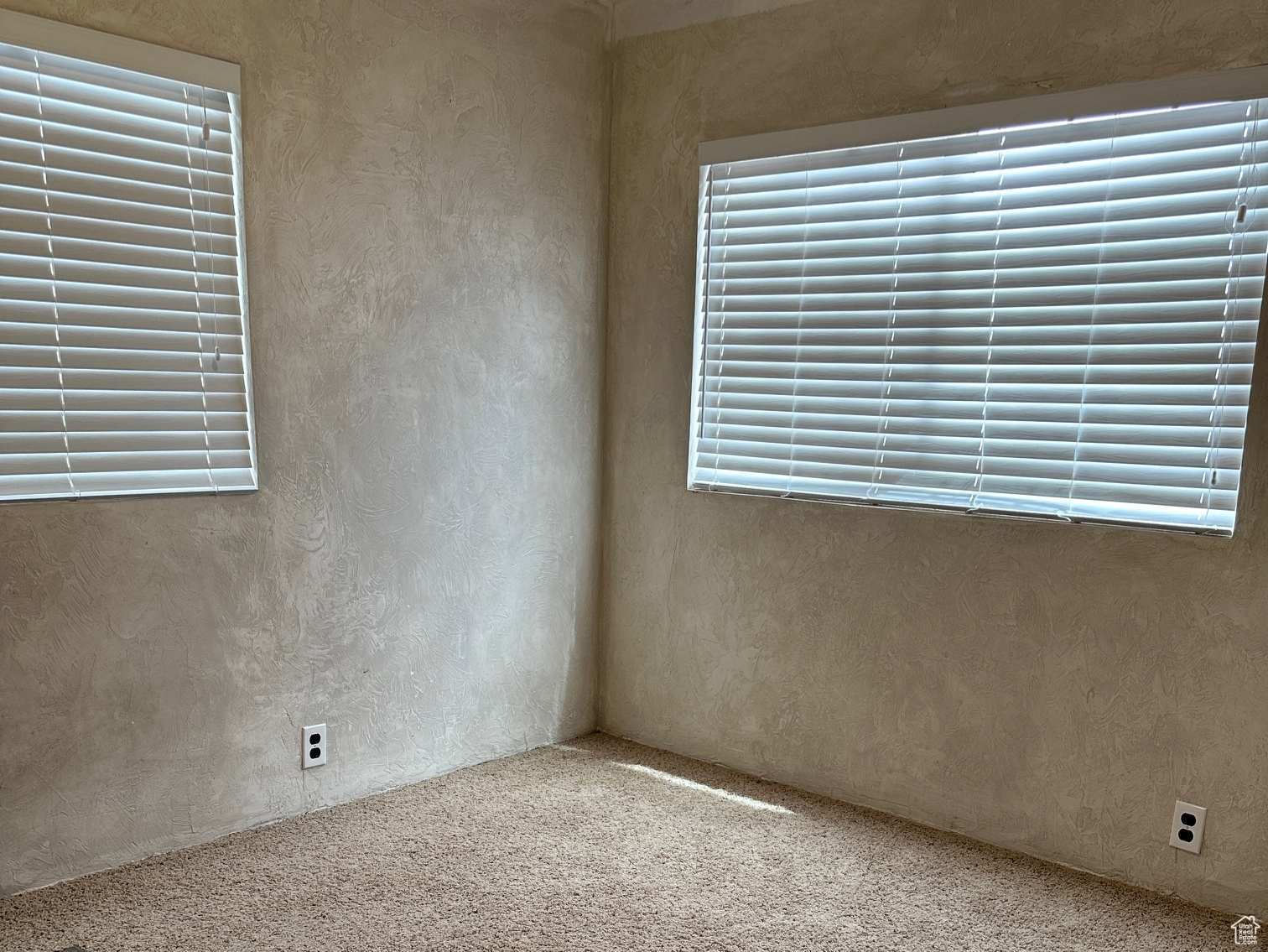 Empty room featuring carpet flooring and plenty of natural light