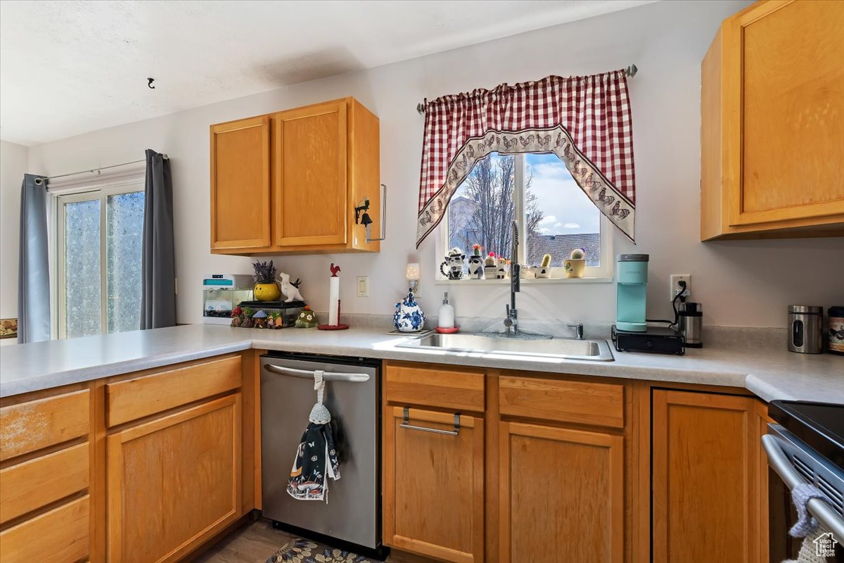 Kitchen with sink, plenty of natural light, stainless steel dishwasher, and range