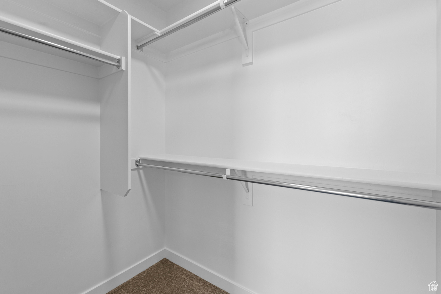 Spacious closet featuring carpet