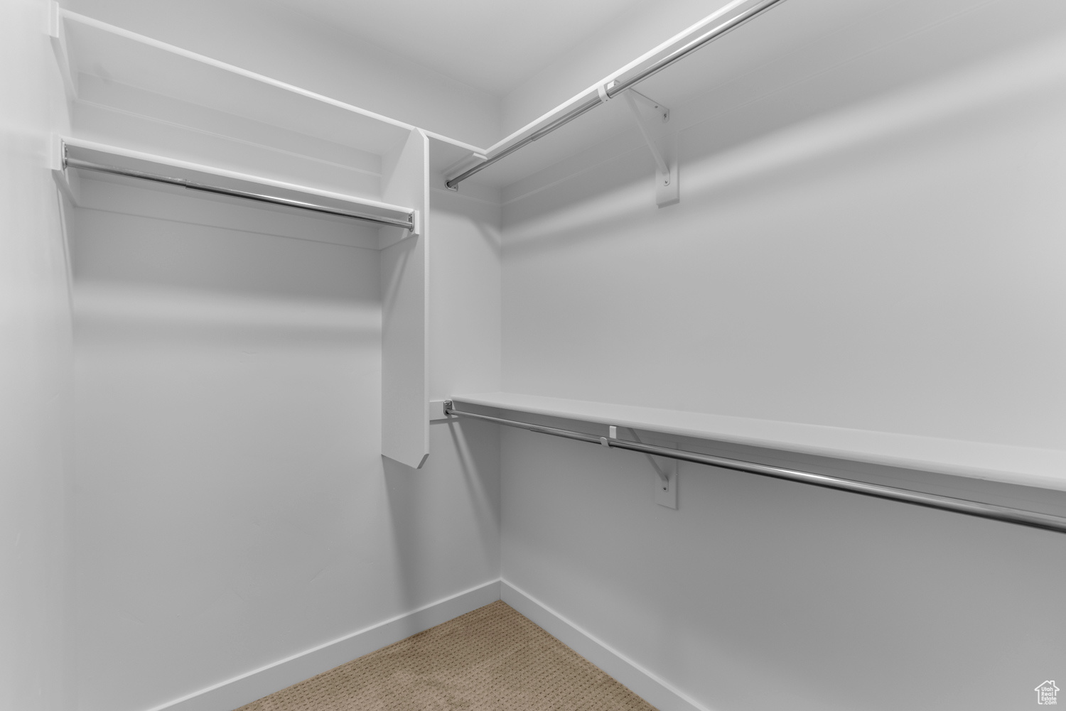 Spacious closet featuring carpet