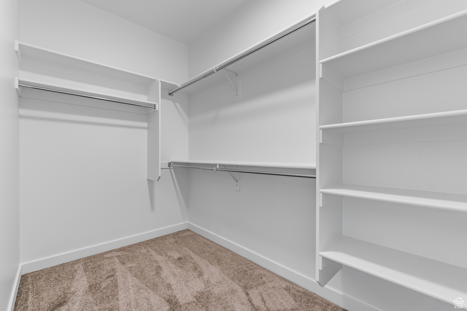 Walk in closet with carpet flooring