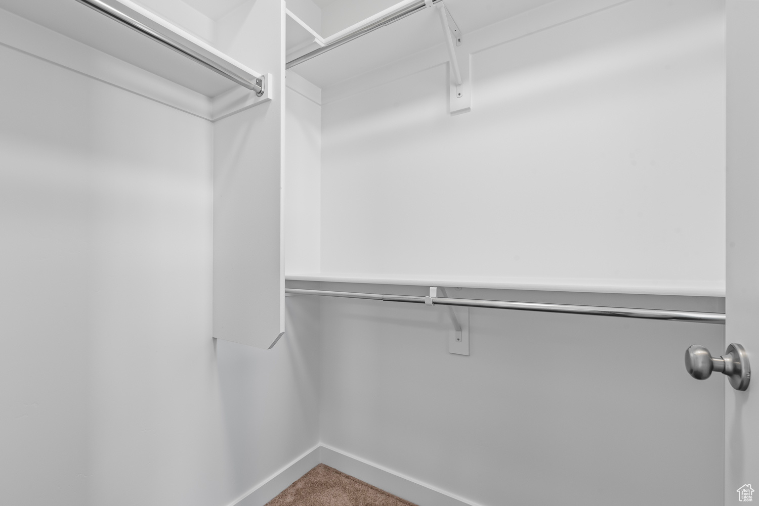 Spacious closet featuring carpet