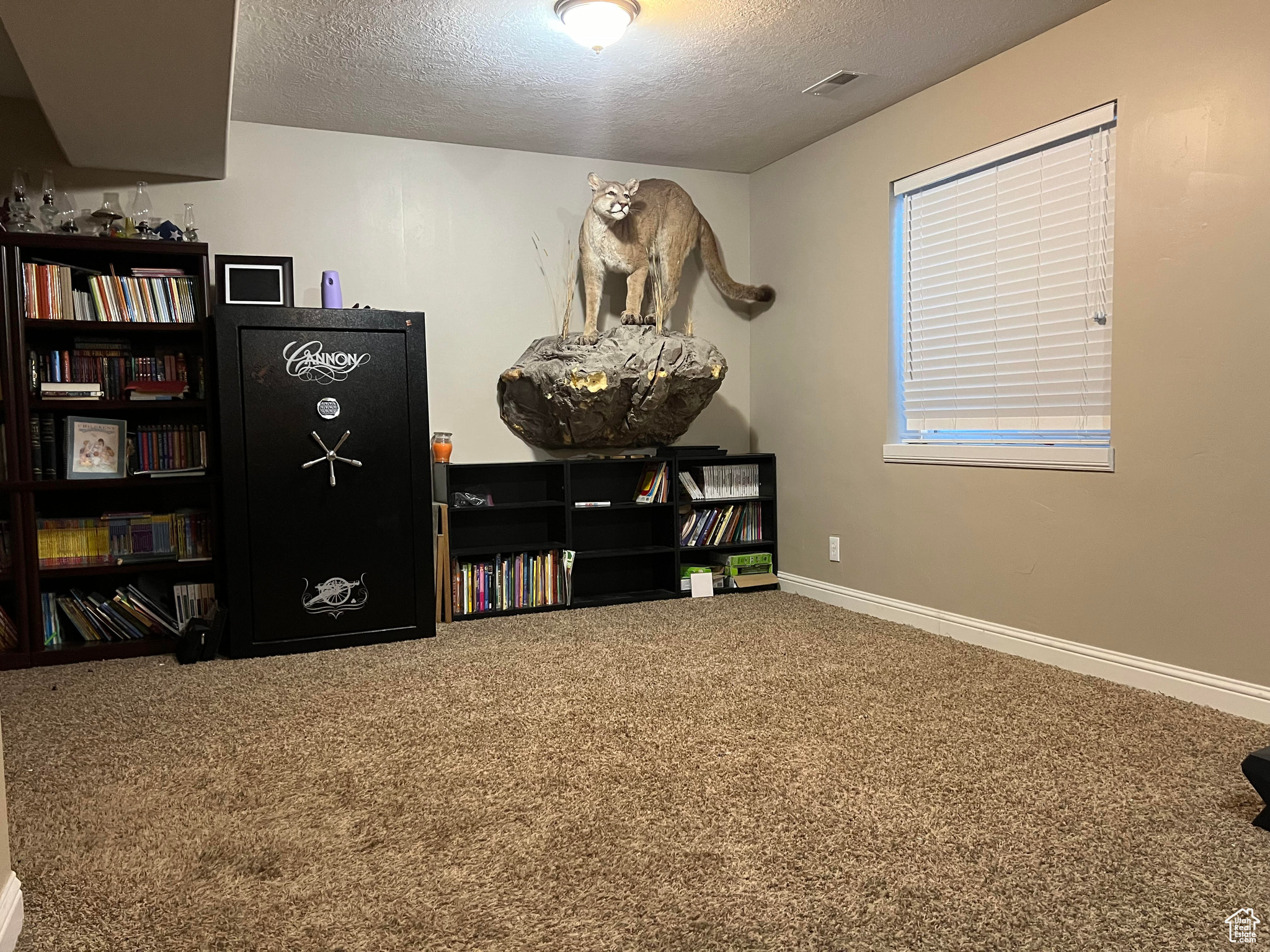 Miscellaneous room with carpet and a textured ceiling