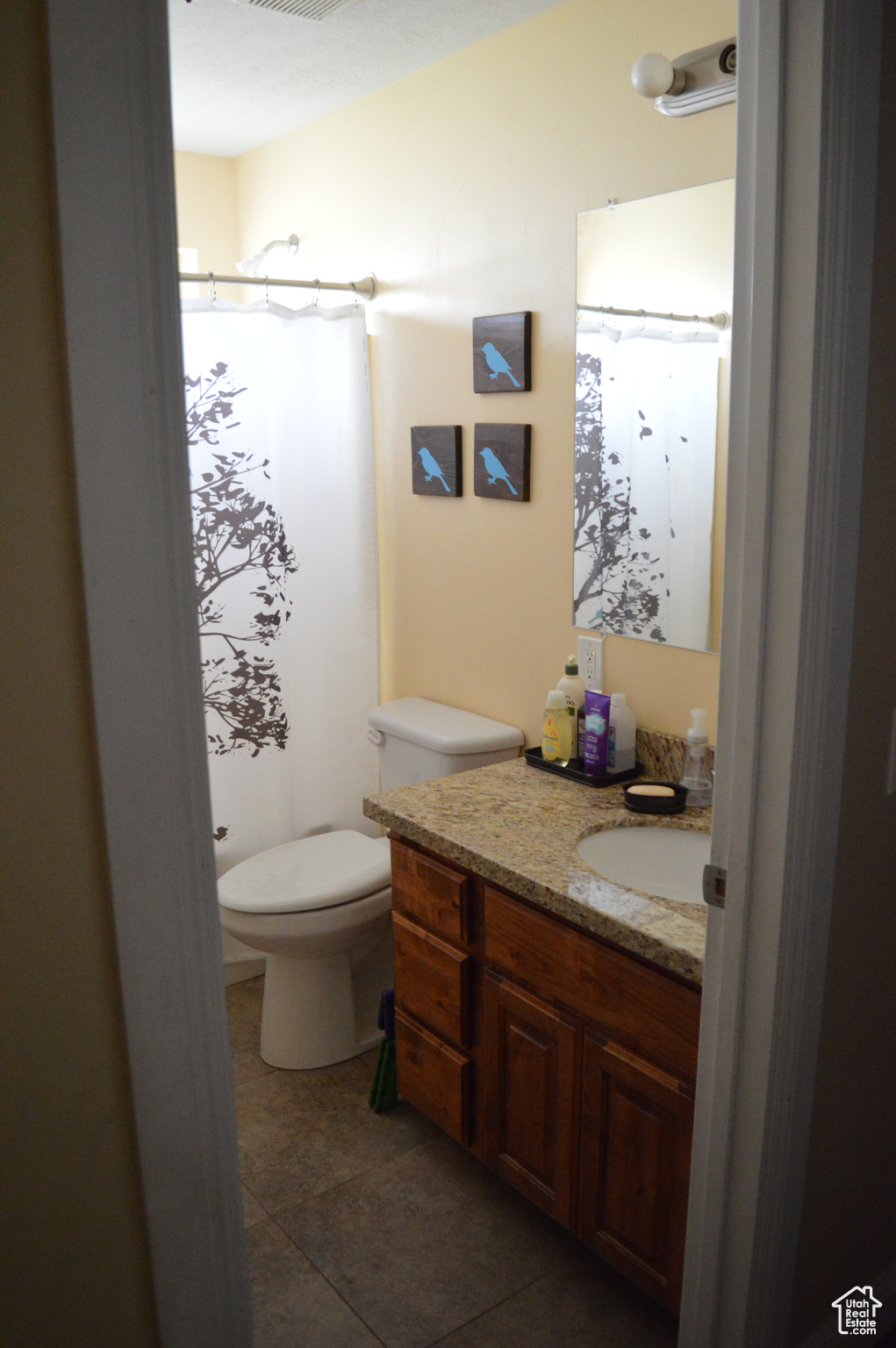 Bathroom with vanity, toilet, and tile floors