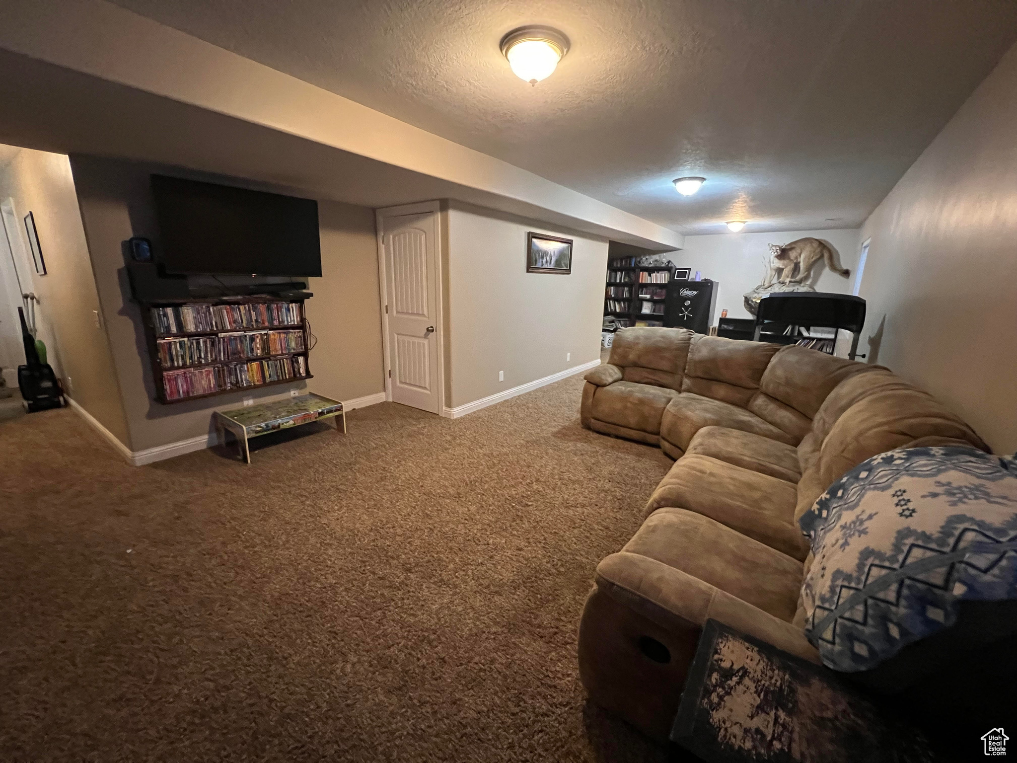 Living room with carpet and a textured ceiling