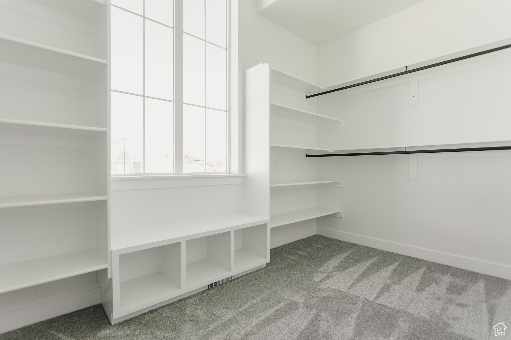 Primary bedroom walk-in closet with carpet flooring