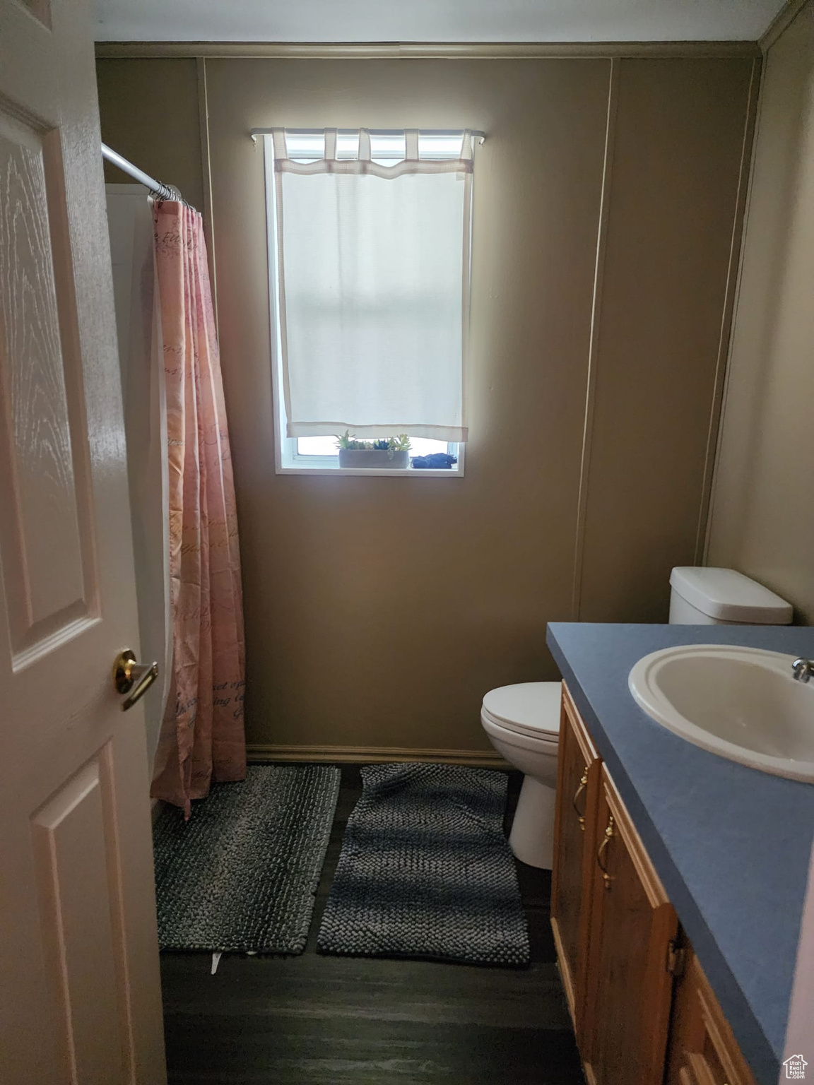 Bathroom with hardwood / wood-style floors, vanity, and toilet