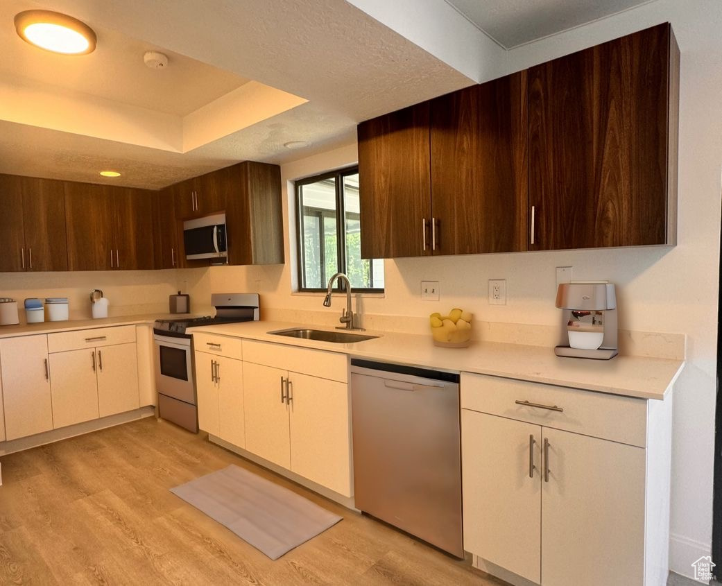 Kitchen featuring white cabinets, light hardwood / wood-style flooring, stainless steel appliances, dark brown cabinets, and sink