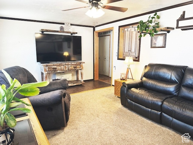 Living Room & Entry Way