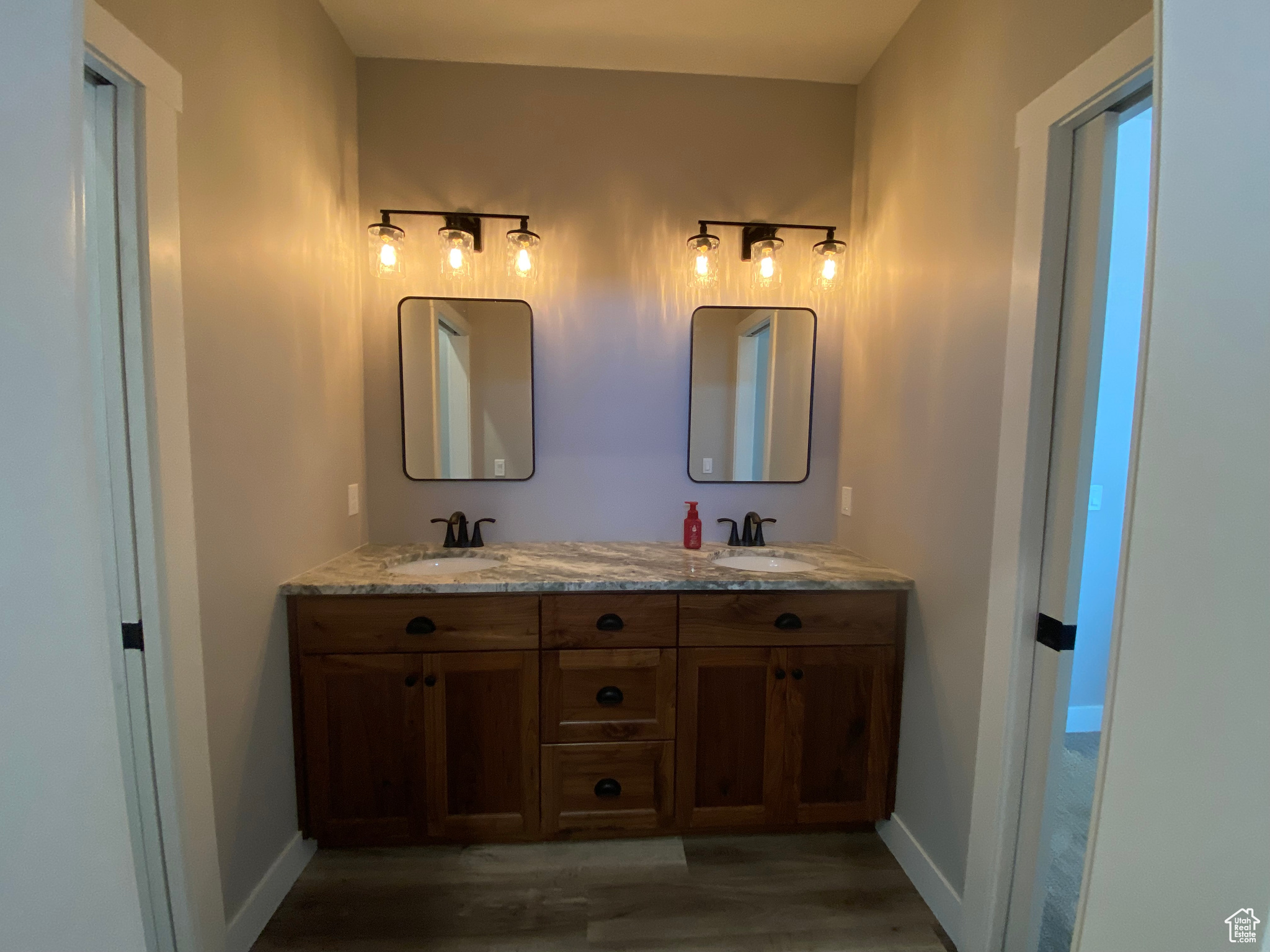 Bathroom with dual bowl vanity and wood-type flooring