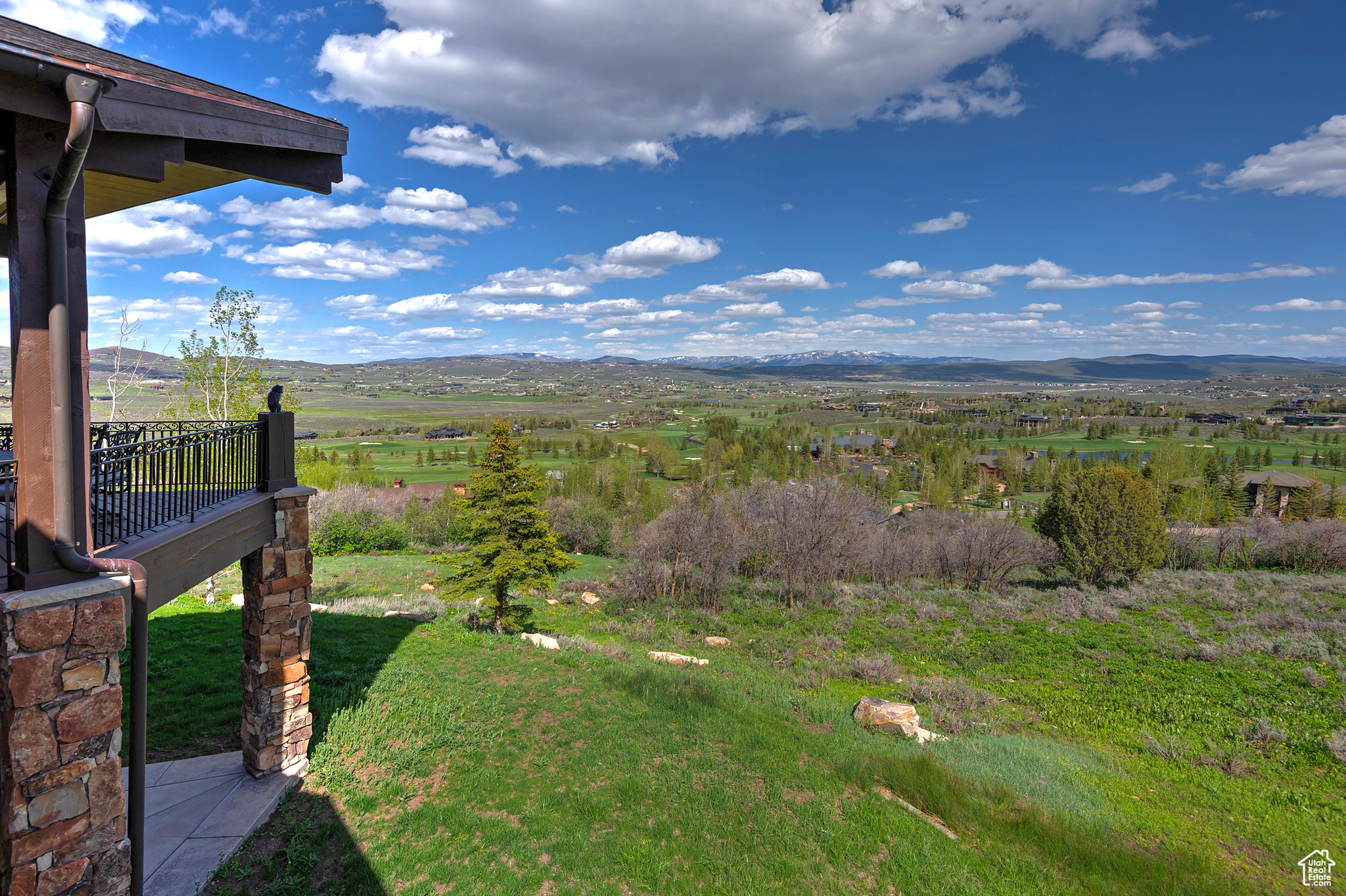 View of the Yard & Beyond