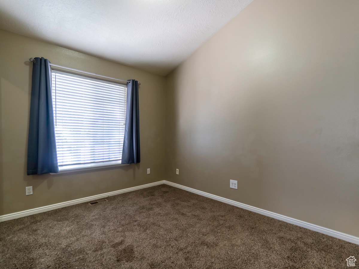 Carpeted empty room with a healthy amount of sunlight and lofted ceiling