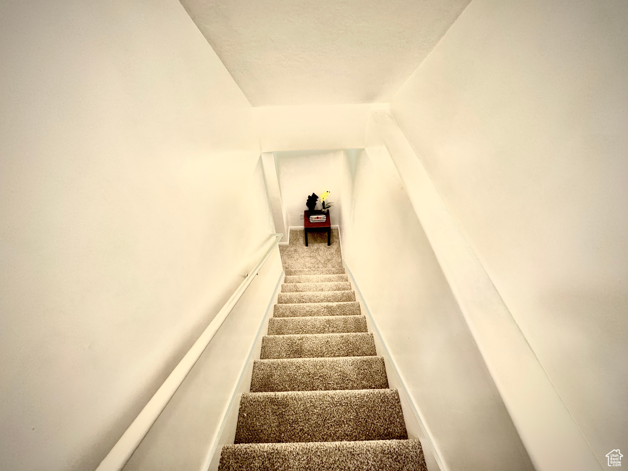 Staircase with carpet floors