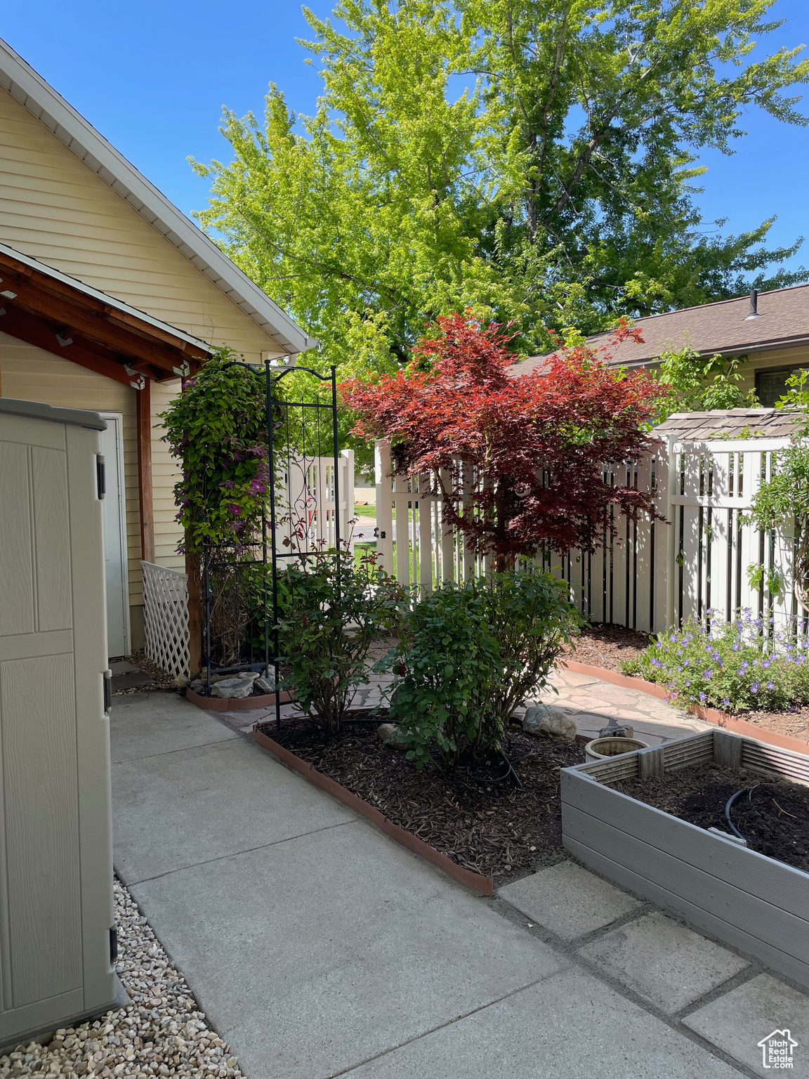 Back patio